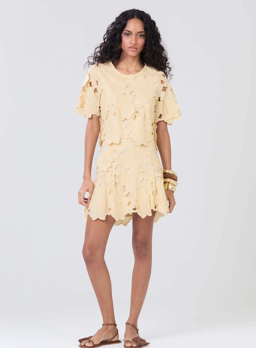Falda Mini Bordada
