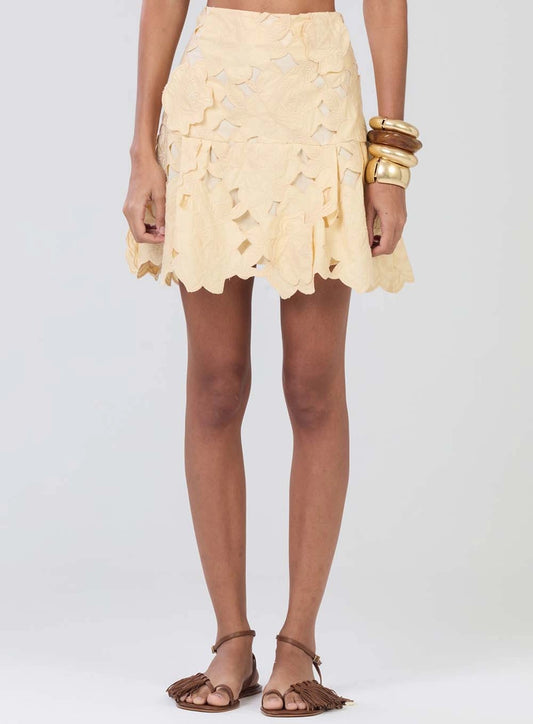 Falda Mini Bordada