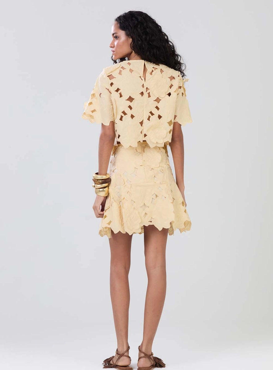 Falda Mini Bordada