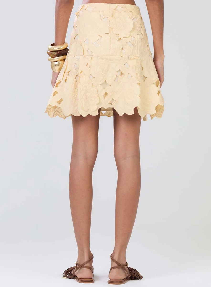 Falda Mini Bordada