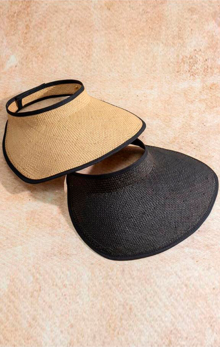 Visera